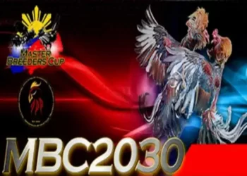 Mbc2030