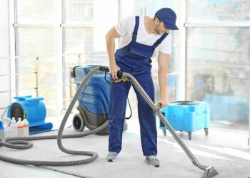 Carpet Cleaner