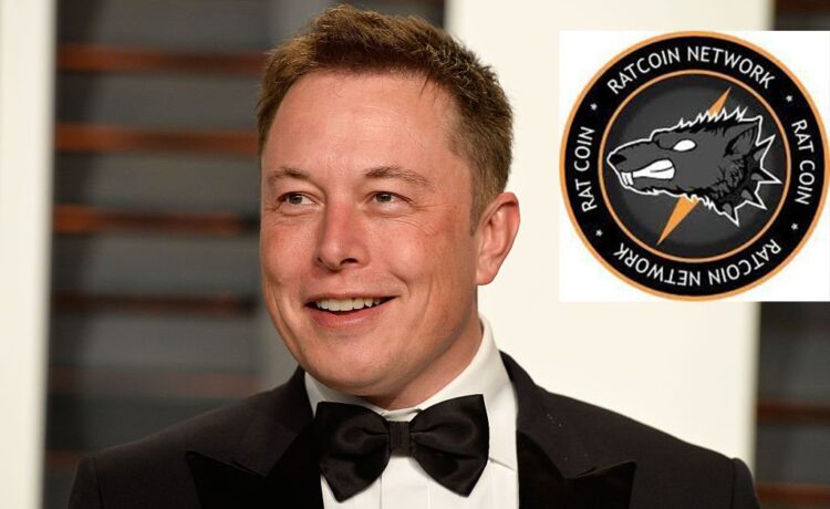 Ratcoin Elon Musk