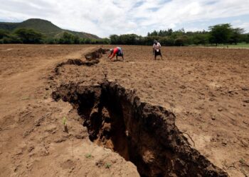 New ocean could form in Africa as continent continues to split apart