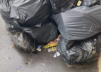 Macron calls for calm amid French pension fury before crucial votes