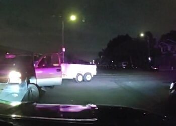 Carjacking suspect flees on skateboard after Los Angeles police corner vehicle