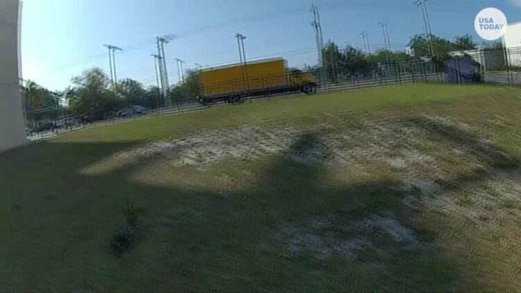 Police officer escorts seemingly lost ducks back to nearby park in Florida