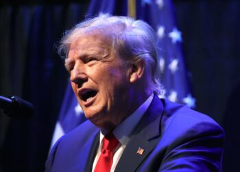 Trump mocks calls for his supporters to stay ‘peaceful’ and falsely claims that ‘this is the Gestapo’ in all-caps rant