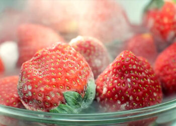 Frozen Fruit Is Being Recalled From Trader Joe s and Costco Due to Hepatitis A Risks