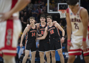 Analytics expert says portal hurting some major programs