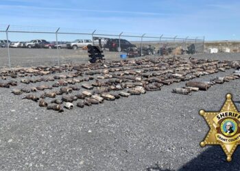 Police seize 500+ stolen catalytic converters from 2 Tri-Cities businesses