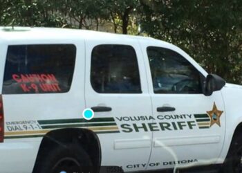 He was pulled over for an expired tag in Central Florida. Then cops looked in the car