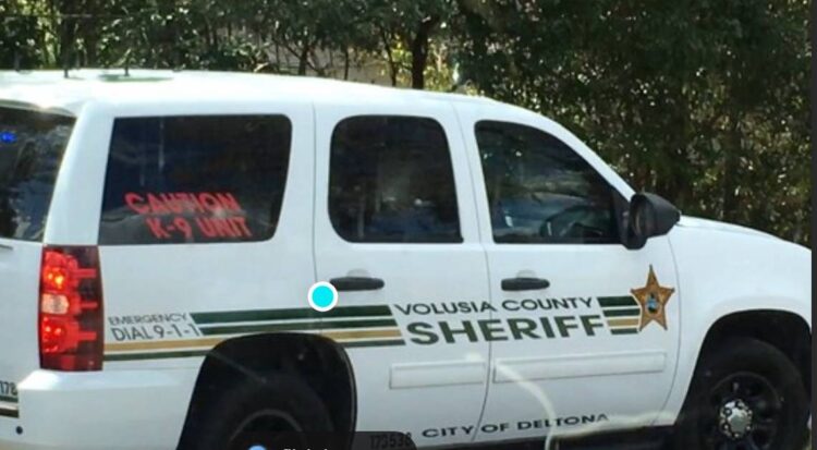 He was pulled over for an expired tag in Central Florida. Then cops looked in the car