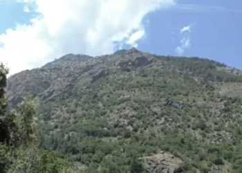 Creature of island mythology is real — and a new species, researchers in France say