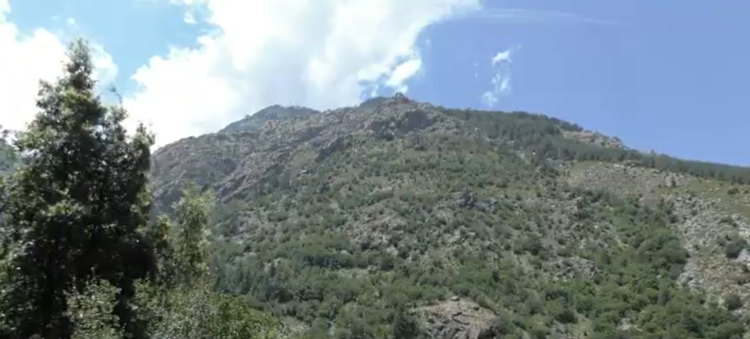 Creature of island mythology is real — and a new species, researchers in France say