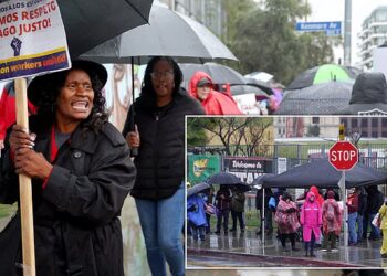 LA Teachers’ Rainy Resistance: A Three-Day Strike Story