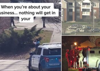 Courageous Delivery: Amazon Driver Hands Package to SWAT Amid Tense Standoff