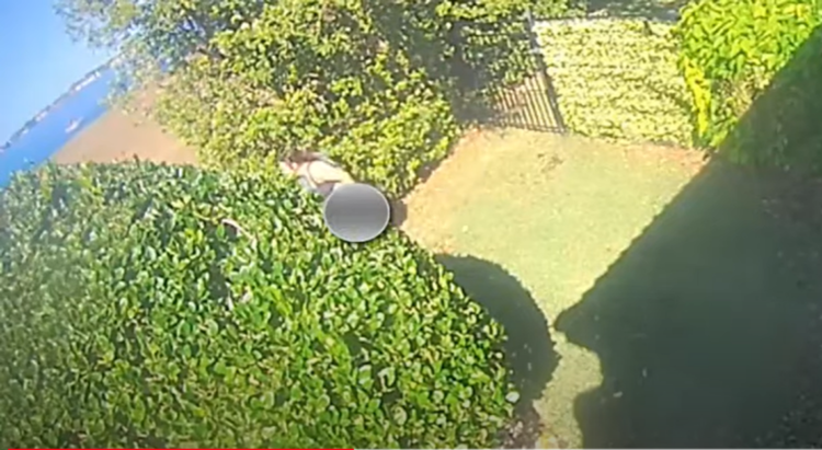 Boater stops to use restroom in Florida yard — and thousands have seen the video, cops say