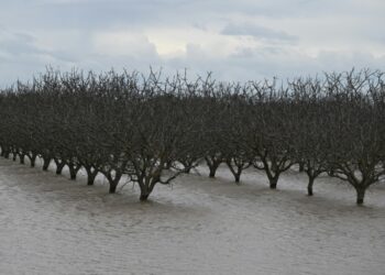 Ghost lake set to reappear as California hit again by rain