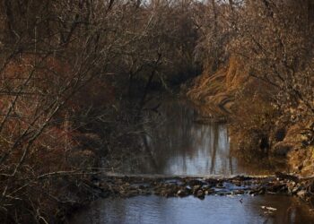 Nuclear contamination testing planned at St. Louis-area park