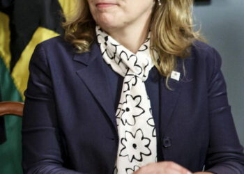 Jet pitched wildly, killing 1, amid cockpit warnings: NTSB