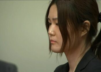 29-year-old scientist who posed as teen to attend high school sought ‘place of safety,’ says lawyer