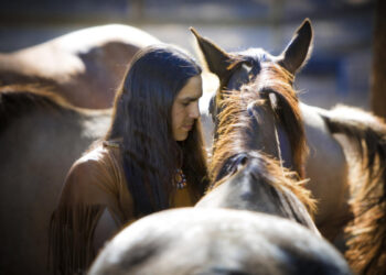 Horses came to American West by early 1600s, study finds