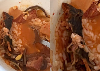 NYC Koreatown restaurant shut down after couple reports they found dead rat in soup