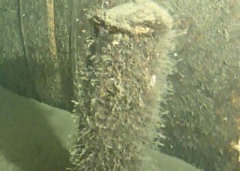 A mystery object found by the Nord Stream pipeline could help provide clues about who was behind sabotage attack