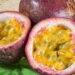 Passion fruit Health benefits and dietary information