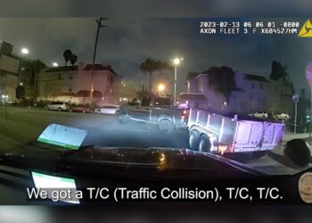 Carjacking Suspect Flees Police on Skateboard in Los Angeles