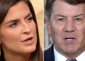 GOP Sen. Shocks CNN’s Kaitlan Collins With ‘Pretty Stark’ Guns Admission