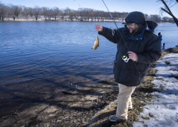 Nuclear plant shutdown blamed in Minnesota fish kill