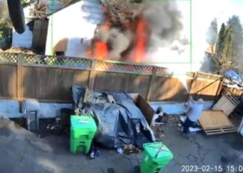 Squatters torment homeowners across US with no resolution in sight: ‘It’s a problem’