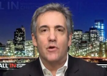 Michael Cohen Hits Possible Trump Lawyers With 1 Word Of Advice