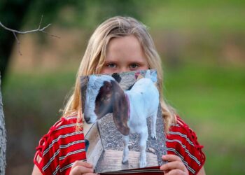 9-year-old California girl wanted to save her goat from slaughter. Then came the search warrant