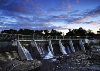 Last wild Atlantic salmon can survive Maine dams, feds say