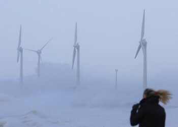 Net zero is a Trojan horse for the total destruction of Western society