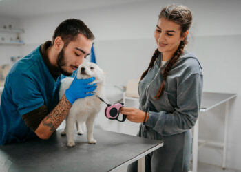 The Right Way to Clean Your Dog's Teeth, According to Veterinarians