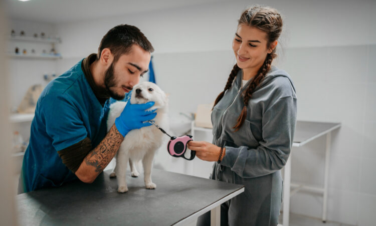 The Right Way to Clean Your Dog's Teeth, According to Veterinarians