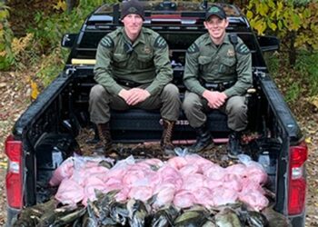 Colorado fishermen ordered to pay over $1K each after catching 463 pounds of Michigan fish