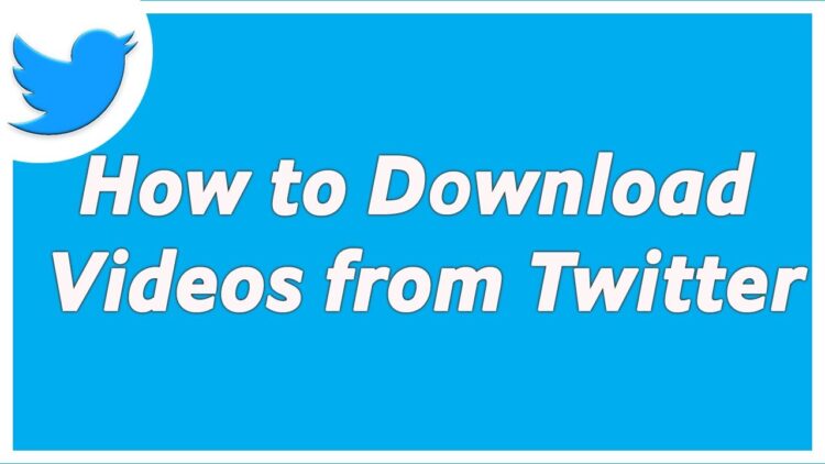 How to download videos from twitter