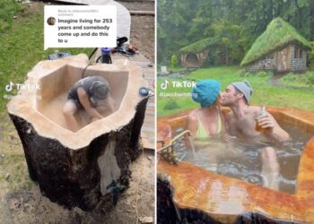 A young TikTok couple has gone massively viral for hollowing out a gigantic 73-year-old spruce tree stump and turning it into an outdoor hot tub