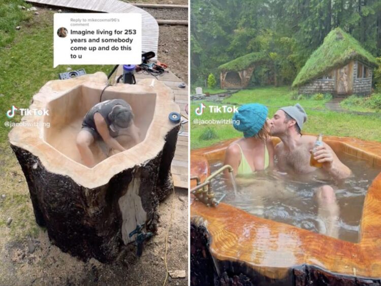 A young TikTok couple has gone massively viral for hollowing out a gigantic 73-year-old spruce tree stump and turning it into an outdoor hot tub