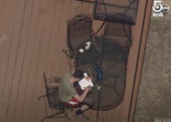 Pentagon leak suspect Jack Teixeira was reading a book on a porch when the feds showed up to arrest him