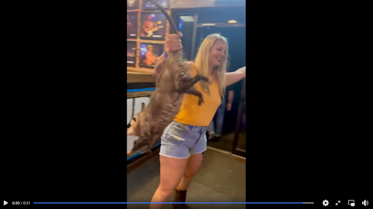 Woman wrangles possum out of dance hall, Texas video shows. ‘Not all heroes wear capes’