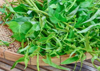 Water spinach is now legal in Georgia after decades-long ban