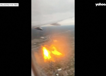 Flames shoot out of American Airlines plane after apparent bird strike