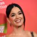 ‘American Idol’ contestant who Katy Perry criticized is apologizing to star after experience ‘destroyed’ her