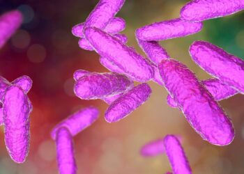 4 dead, 31 infected after bacterial outbreak hits Seattle hospital