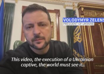 Zelensky blasts Russian ‘beasts’ over beheading video