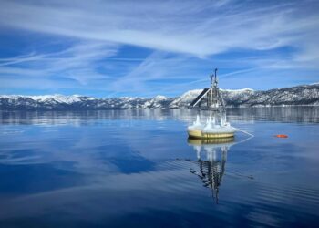 Lake Tahoe’s clarity is the best it’s been in 40 years. This animal is helping, UC Davis says
