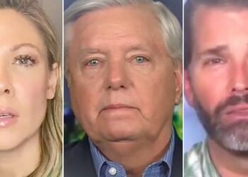 Desi Lydic Brutally Mocks Conservative Tears Over Donald Trump Indictment