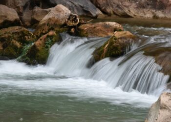 Woman clinging to log in Zion National Park river had no pulse when rescued, rangers say